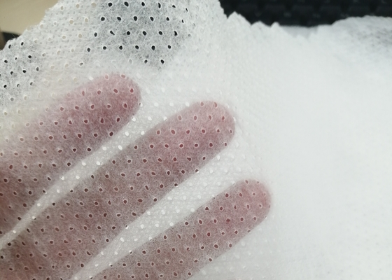 購入 柔らかく,透けるピンホール 織物のない織物 10~50gm 体重 調整可能な色 online manufacture