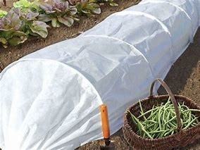 購入 暖かさ 農産物 織物 雑草 の 成長 を 抑制 冬 online manufacture