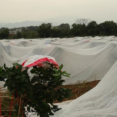 購入 保温性農業用不織布 播種 栽培 水やり節約 除草 online manufacture