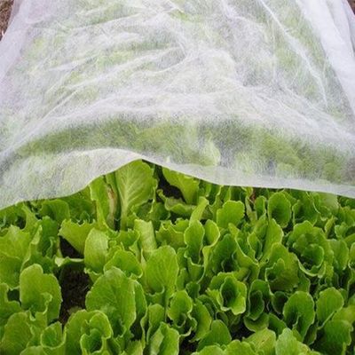 購入 Hygiene Agriculture Industry PP Nonwoven Fabric Hydropilic / Hydrophobic online manufacture
