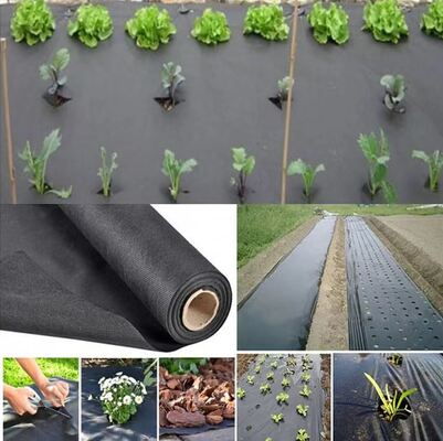 購入 Vegetable Agriculture Nonwoven Fabric Anti - frost Fruit Bag Winter Protect Use Nonwoven online manufacture