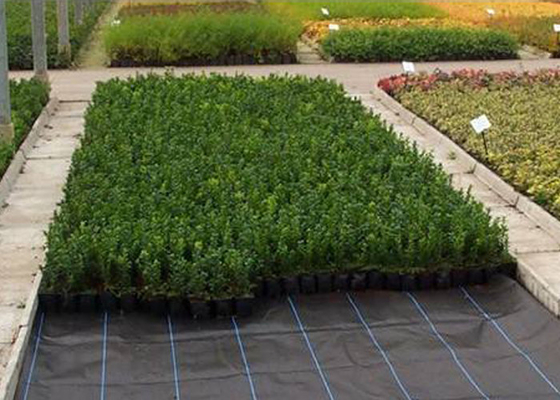 購入 除草剤の農業の非編まれた生地の植物/地被植物通気性の反フロスト online manufacture
