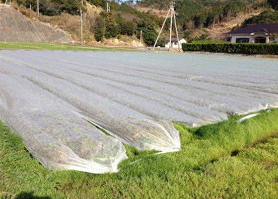 購入 非編まれた地被植物の農業の非編まれた生地は雑草が景色を台無しにすることを防ぎます online manufacture