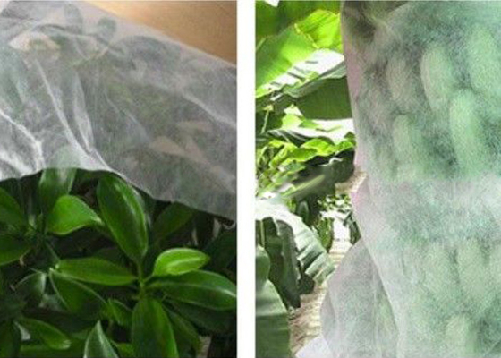 購入 よい透明物の農業の非編まれた生地の非有害なFrostproof生地 online manufacture