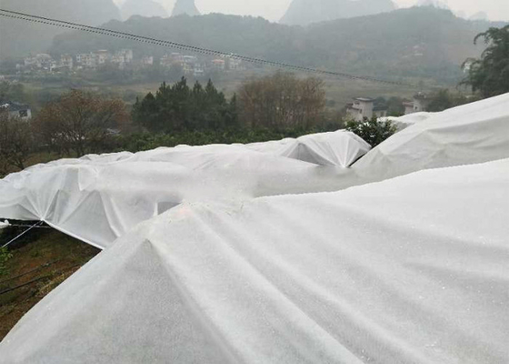 購入 果樹のために有毒な白人の地被植物の雑草防除の生地のライト級選手非 online manufacture