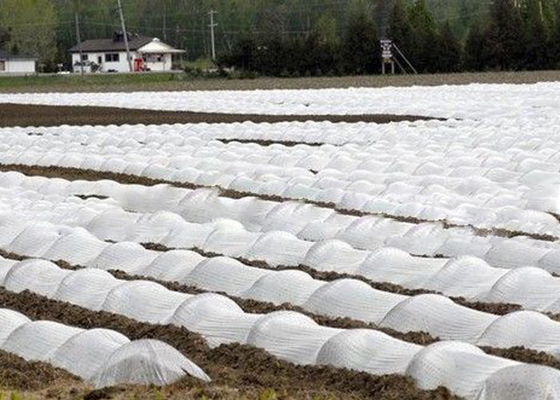 購入 Ecoの利用できる1% - 4%紫外線扱われたOEM/ODMが付いている友好的な農業の非編まれた生地 online manufacture