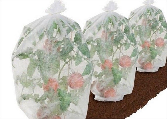 購入 Ecoの友好的な農業PPの非編まれた生地1% - 4%紫外線扱われたOEM ODM online manufacture