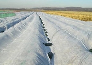 購入 農業のための通気性の疎水性PPの非編まれた生地の反空電 online manufacture