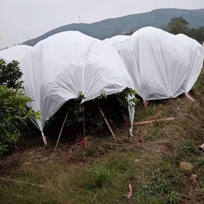 名前