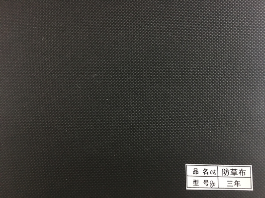 名前