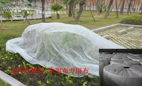 名前